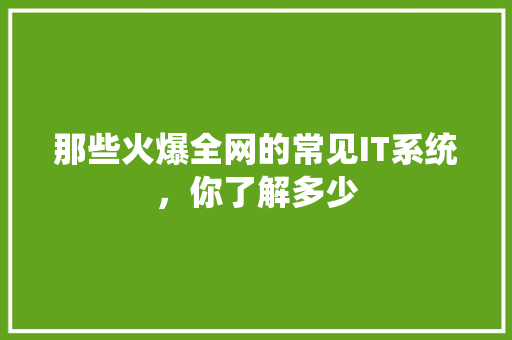 那些火爆全网的常见IT系统，你了解多少 百度SEO
