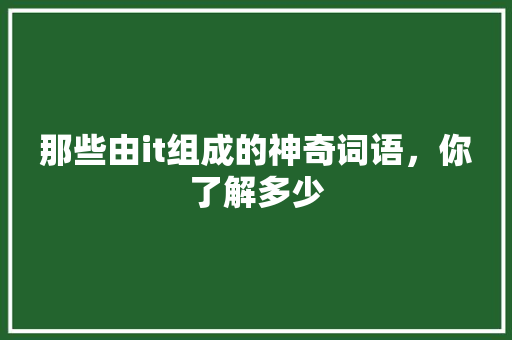 那些由it组成的神奇词语，你了解多少 GoogleSEO
