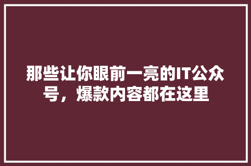 那些让你眼前一亮的IT公众号，爆款内容都在这里 搜狗SEO