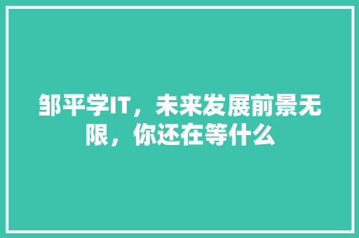 邹平学IT，未来发展前景无限，你还在等什么 神马SEO