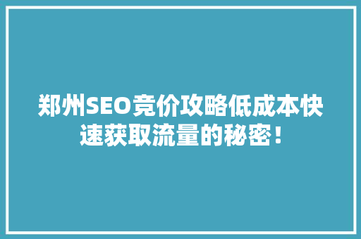 郑州SEO竞价攻略低成本快速获取流量的秘密！ GoogleSEO