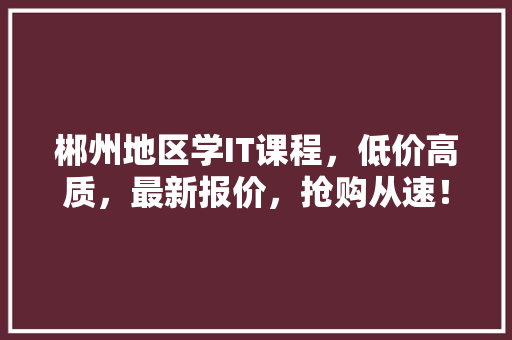 郴州地区学IT课程，低价高质，最新报价，抢购从速！ 百度SEO