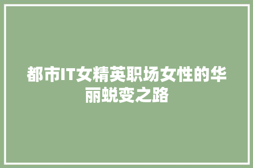 都市IT女精英职场女性的华丽蜕变之路 百度SEO