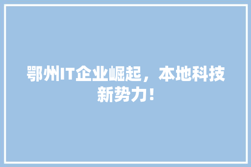 鄂州IT企业崛起，本地科技新势力！ GoogleSEO