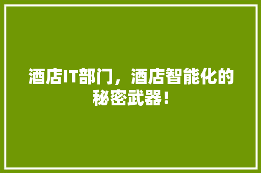 酒店IT部门，酒店智能化的秘密武器！ GoogleSEO