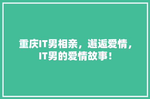 重庆IT男相亲，邂逅爱情，IT男的爱情故事！ 百度SEO