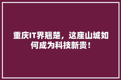 重庆IT界翘楚，这座山城如何成为科技新贵！