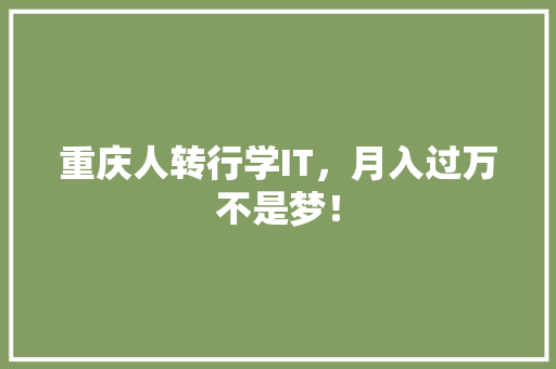 重庆人转行学IT，月入过万不是梦！ 神马SEO