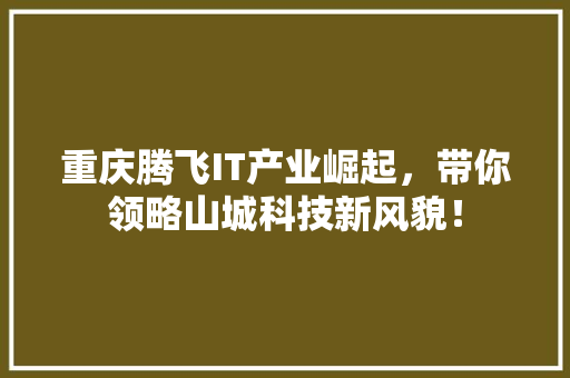 重庆腾飞IT产业崛起，带你领略山城科技新风貌！ 必应SEO