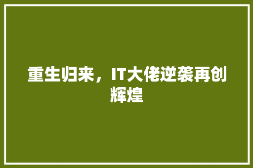 重生归来，IT大佬逆袭再创辉煌 神马SEO