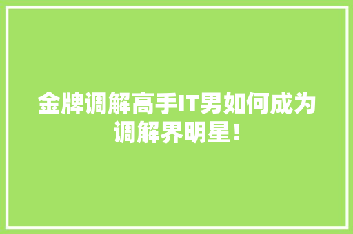 金牌调解高手IT男如何成为调解界明星！ 神马SEO