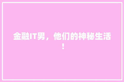 金融IT男，他们的神秘生活！ 百度SEO