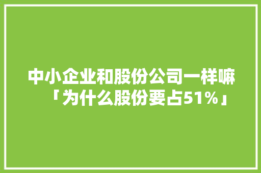 中小企业和股份公司一样嘛「为什么股份要占51%」 中小企业和股份公司一样嘛「为什么股份要占51%」 神马SEO