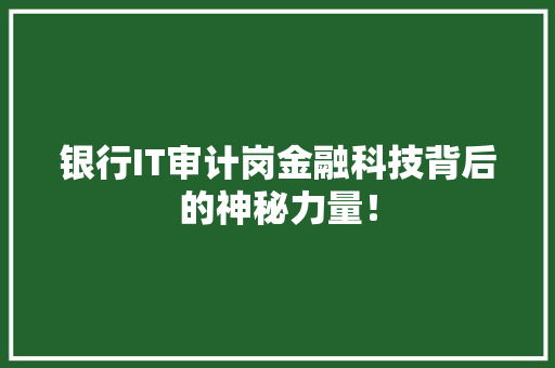 银行IT审计岗金融科技背后的神秘力量！ GoogleSEO
