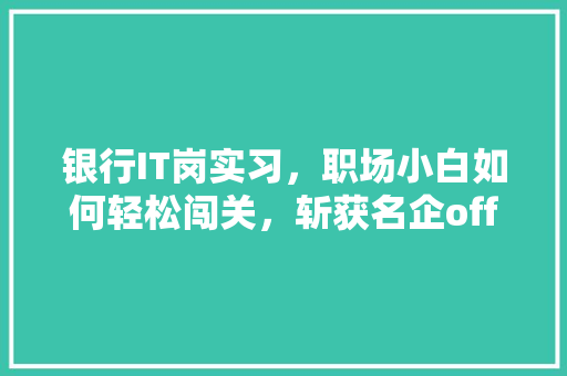 银行IT岗实习，职场小白如何轻松闯关，斩获名企offer！ GoogleSEO