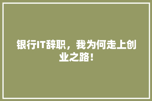 银行IT辞职，我为何走上创业之路！ 必应SEO