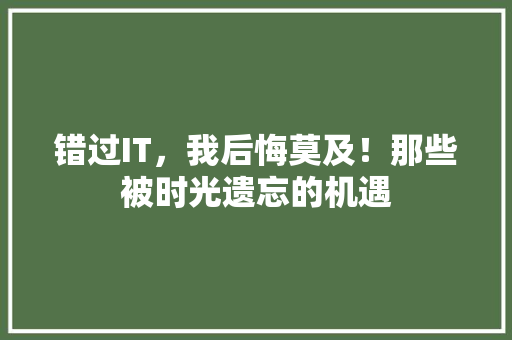 错过IT，我后悔莫及！那些被时光遗忘的机遇 神马SEO
