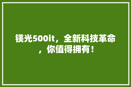 镁光500it，全新科技革命，你值得拥有！ 百度SEO