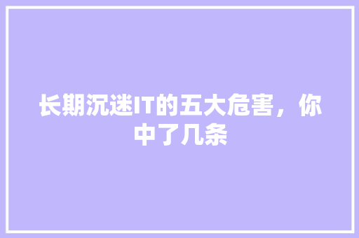 长期沉迷IT的五大危害，你中了几条 GoogleSEO