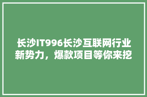 长沙IT996长沙互联网行业新势力，爆款项目等你来挖掘！ GoogleSEO