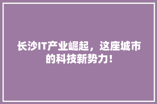 长沙IT产业崛起，这座城市的科技新势力！ 必应SEO