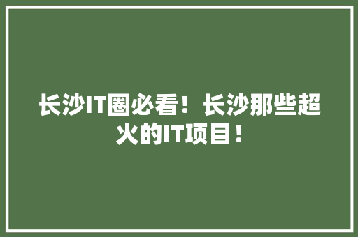 长沙IT圈必看！长沙那些超火的IT项目！ 必应SEO