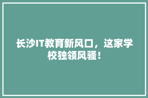 长沙IT教育新风口，这家学校独领风骚！ 必应SEO