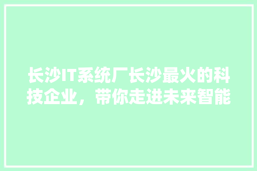长沙IT系统厂长沙最火的科技企业，带你走进未来智能时代！ GoogleSEO