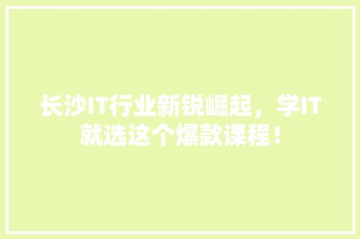 长沙IT行业新锐崛起，学IT就选这个爆款课程！ 神马SEO