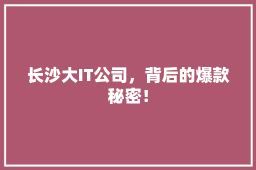 长沙大IT公司，背后的爆款秘密！ 百度SEO