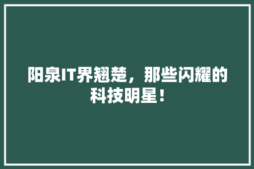 阳泉IT界翘楚，那些闪耀的科技明星！ 百度SEO