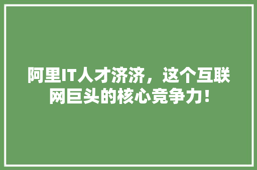 阿里IT人才济济，这个互联网巨头的核心竞争力！ 搜狗SEO