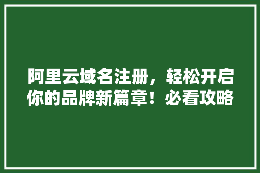 阿里云域名注册，轻松开启你的品牌新篇章！必看攻略！ GoogleSEO