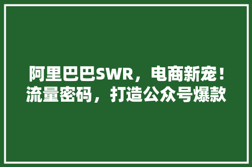 阿里巴巴SWR，电商新宠！流量密码，打造公众号爆款！