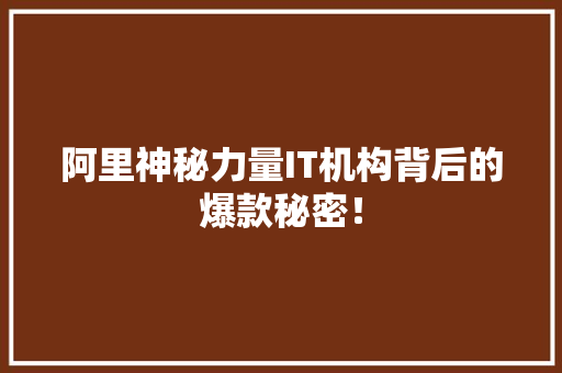 阿里神秘力量IT机构背后的爆款秘密！ 神马SEO