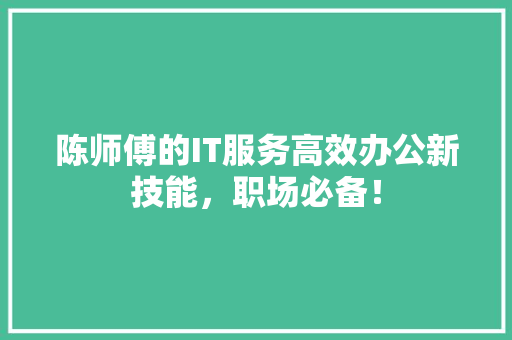 陈师傅的IT服务高效办公新技能，职场必备！ 必应SEO