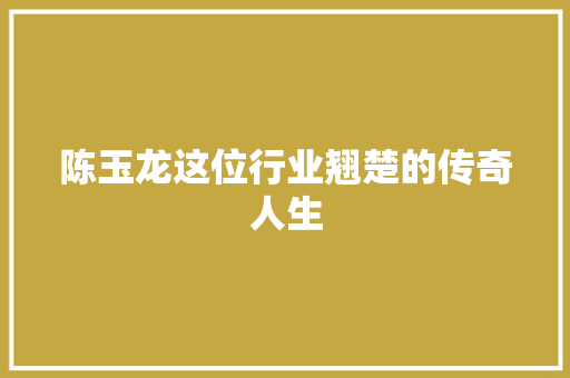 陈玉龙这位行业翘楚的传奇人生 GoogleSEO