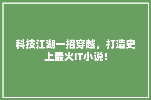 科技江湖一招穿越，打造史上最火IT小说！ 神马SEO