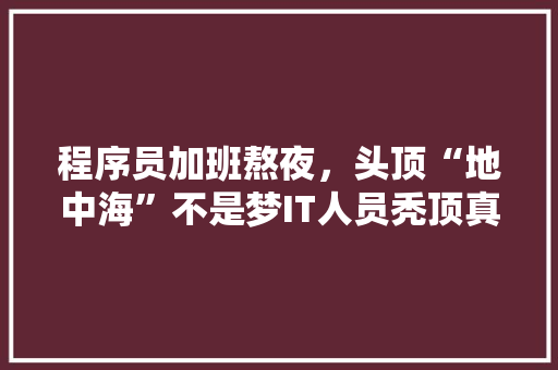程序员加班熬夜，头顶“地中海”不是梦IT人员秃顶真相 搜狗SEO