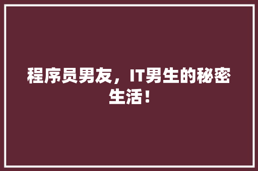 程序员男友，IT男生的秘密生活！