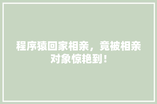 程序猿回家相亲，竟被相亲对象惊艳到！ 神马SEO