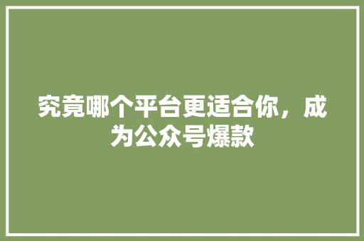 究竟哪个平台更适合你，成为公众号爆款 必应SEO