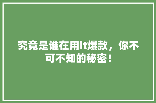 究竟是谁在用it爆款，你不可不知的秘密！ 搜狗SEO