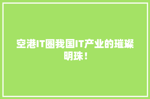空港IT圈我国IT产业的璀璨明珠！ 神马SEO
