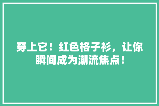 穿上它！红色格子衫，让你瞬间成为潮流焦点！ GoogleSEO