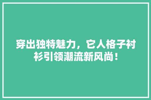 穿出独特魅力，它人格子衬衫引领潮流新风尚！ GoogleSEO