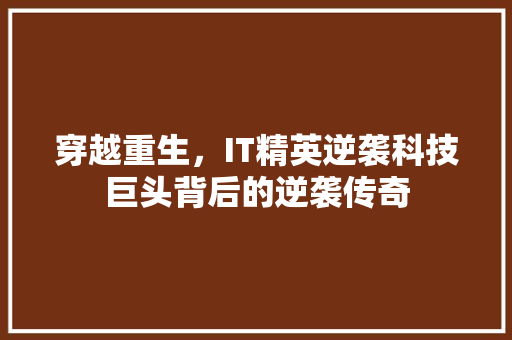 穿越重生，IT精英逆袭科技巨头背后的逆袭传奇 百度SEO