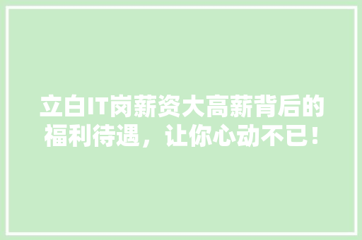 立白IT岗薪资大高薪背后的福利待遇，让你心动不已！ 神马SEO