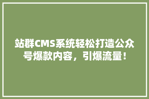 站群CMS系统轻松打造公众号爆款内容，引爆流量！ 必应SEO