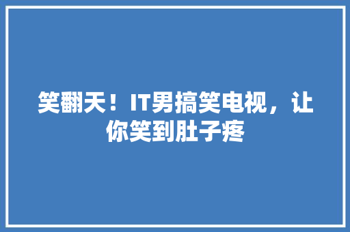 笑翻天！IT男搞笑电视，让你笑到肚子疼 搜狗SEO